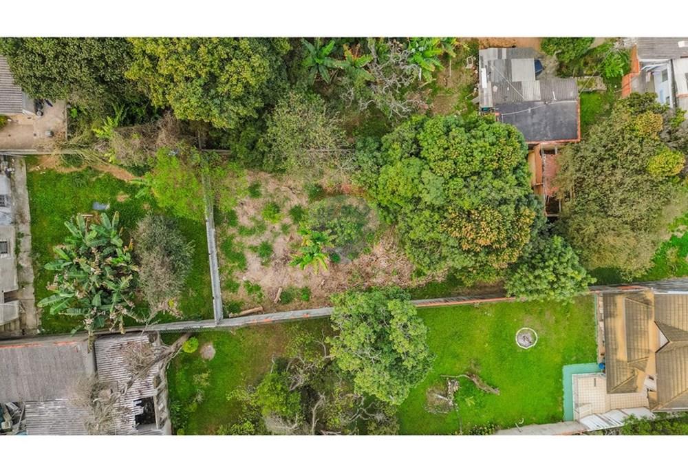 Terreno - Venda - São Paulo , São Paulo - DJI_0876.jpg - 602261032-18