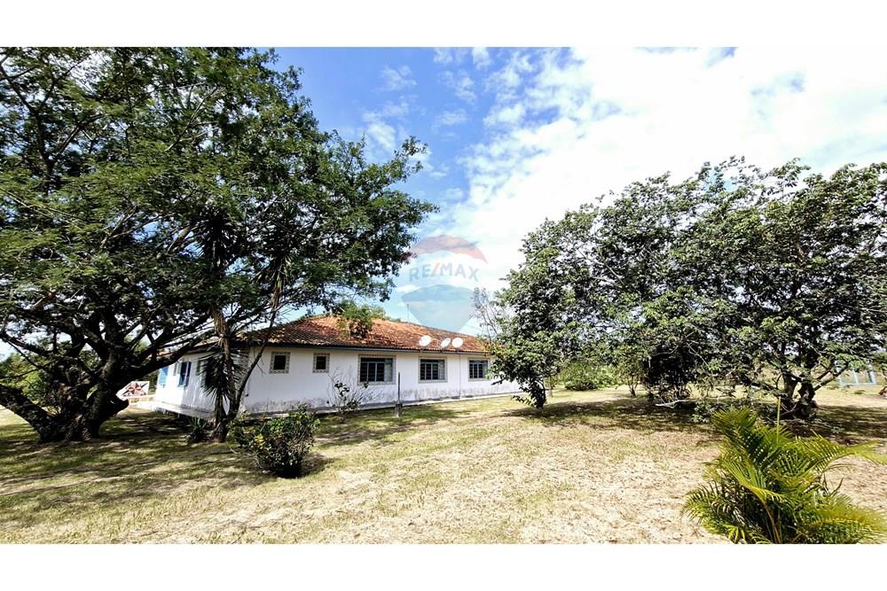 Fazenda - Venda - Itapetininga , São Paulo - SITIO ITAPETININGA (89).jpg - 602301007-5