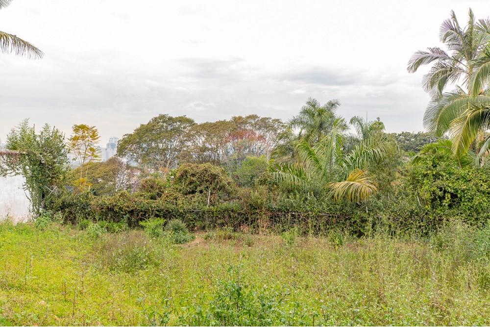Terreno - Venda - São Paulo , São Paulo - 55c38317-c173-4af0-80f5-4a0193ac8b23.jpeg - 601251054-80