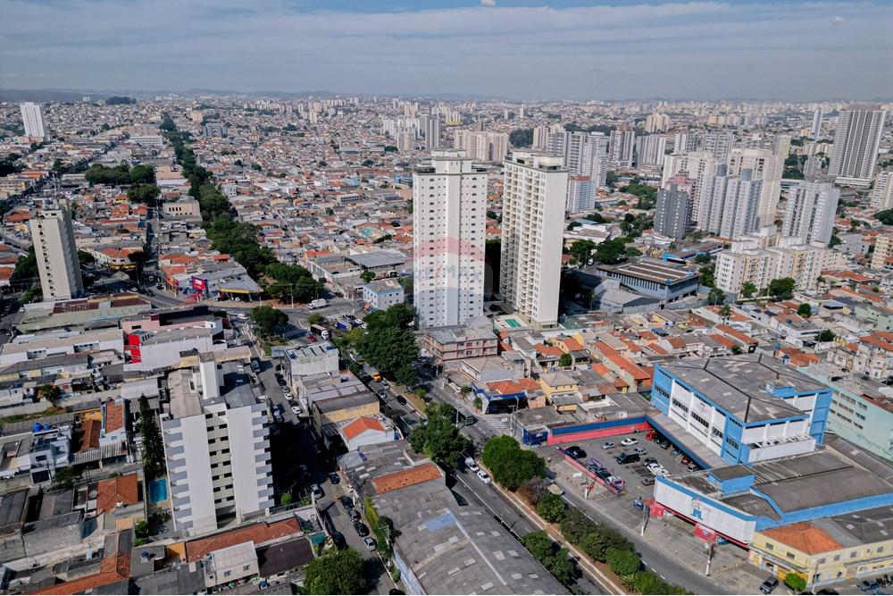 Casa - Venda - São Paulo , São Paulo - DJI_0814.jpg - 602261037-18