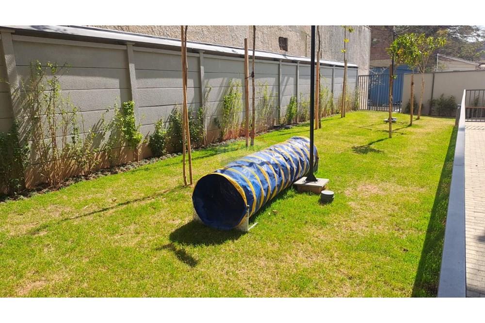 Apartamento - Alugar - São Paulo , São Paulo - PET1.jpg - 602251011-61