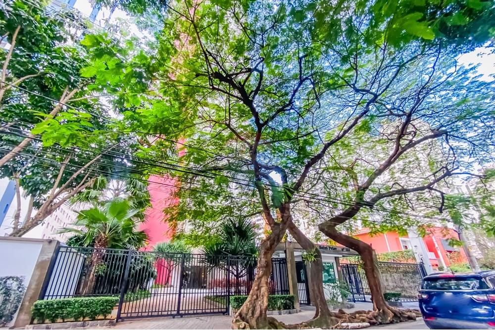 Apartamento - Alugar - São Paulo , São Paulo - 50.jpg - 602031012-46