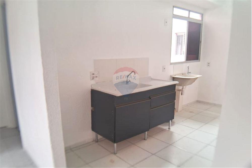 Apartamento - Alugar - São Paulo , São Paulo - Cozinha - Cozinha - 601751024-51