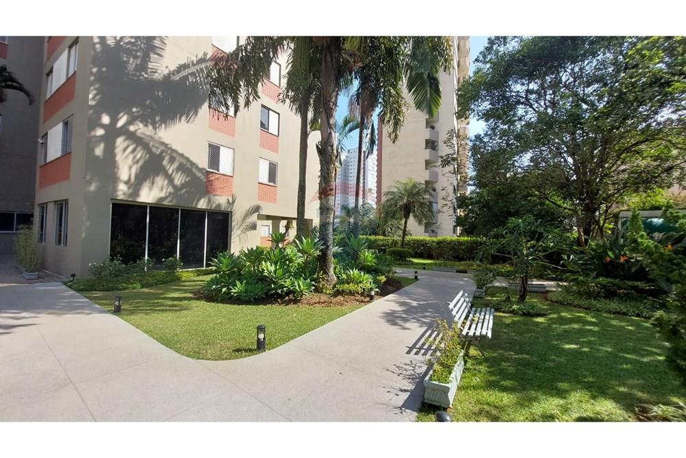 Apartamento - Alugar - São Paulo , São Paulo - WhatsApp Image 2025-07-17 at 14.46.17 (1).jpeg - 601461011-79