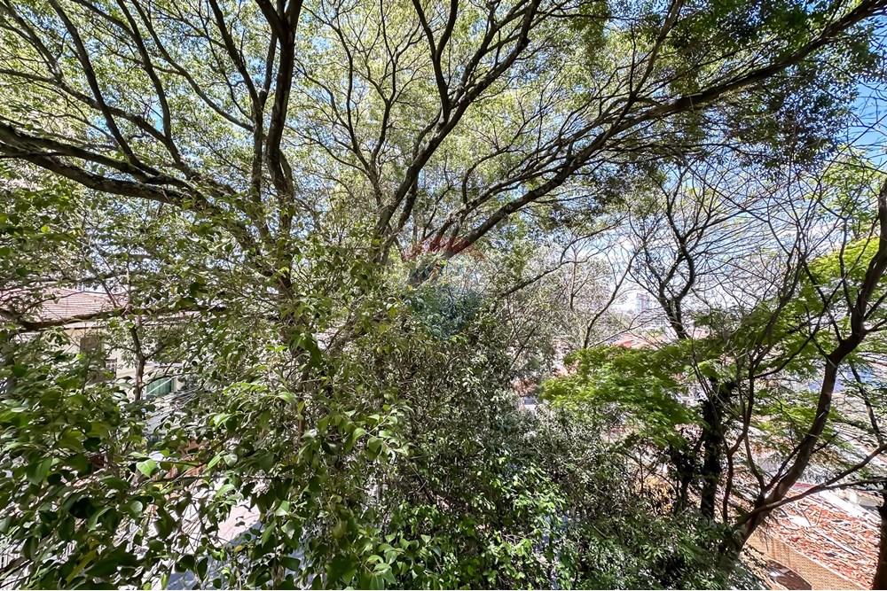 Apartamento - Venda - São Paulo , São Paulo - IMG_626119.jpg - 602291018-153