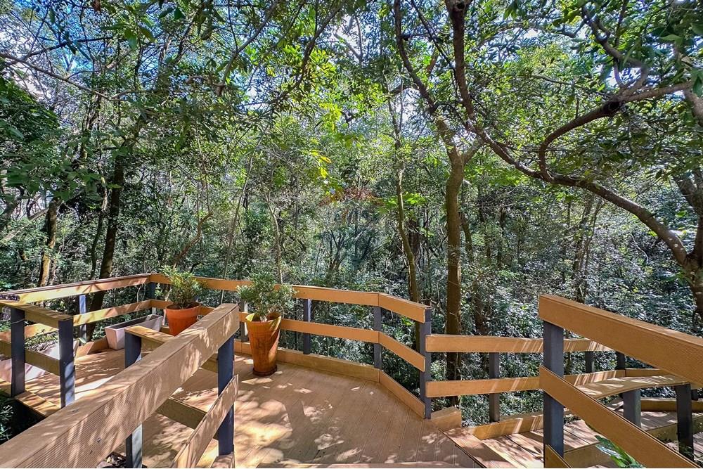 Apartamento - Alugar - São Paulo , São Paulo - IMG_914339.jpg - 602071003-89