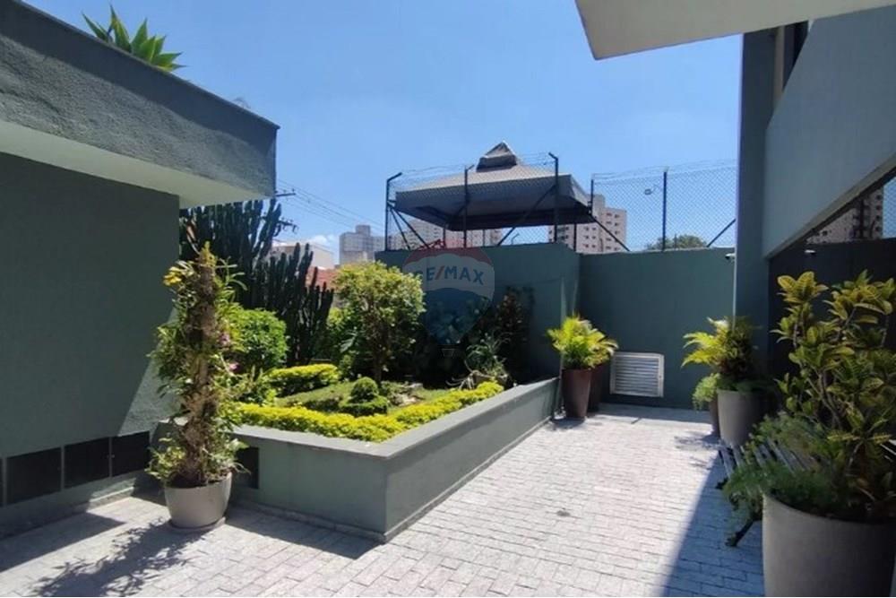 Apartamento - Alugar - São Paulo , São Paulo - Captura de tela 2025-10-28 163646.jpg - 602031023-13