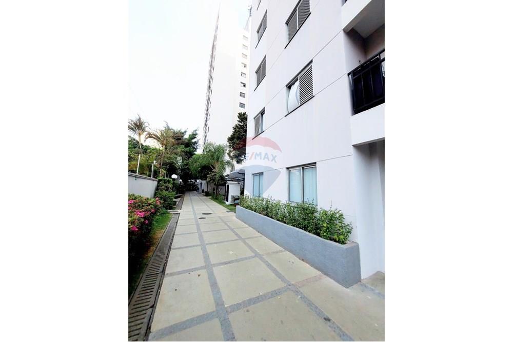 Apartamento - Alugar - São Paulo , São Paulo - 20251003_160654.jpg - 602381006-16