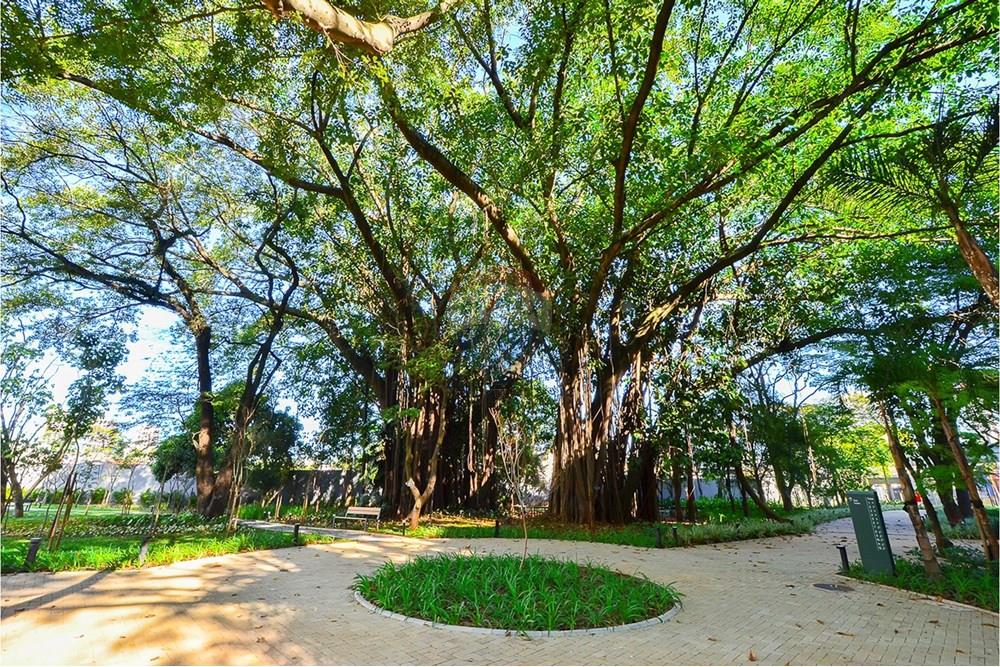 Apartamento - Venda - São Paulo , São Paulo - Remax-60.jpg - Layout aberto - 601131002-62