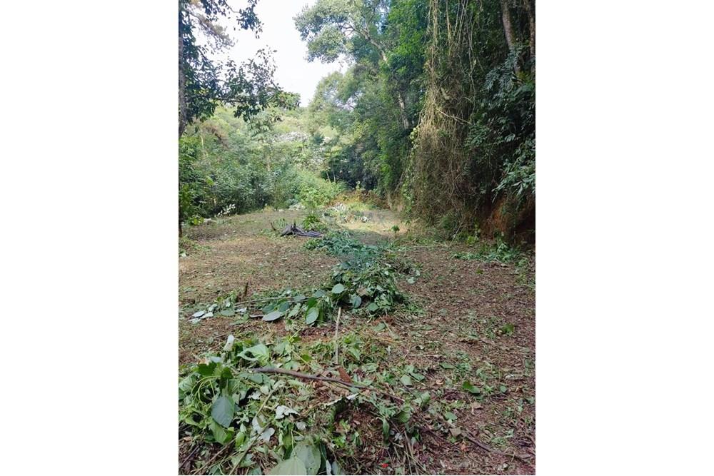 Terreno - Venda - Arujá , São Paulo - WhatsApp Image 2025-09-26 at 14.34.44.jpeg - 601351175-64