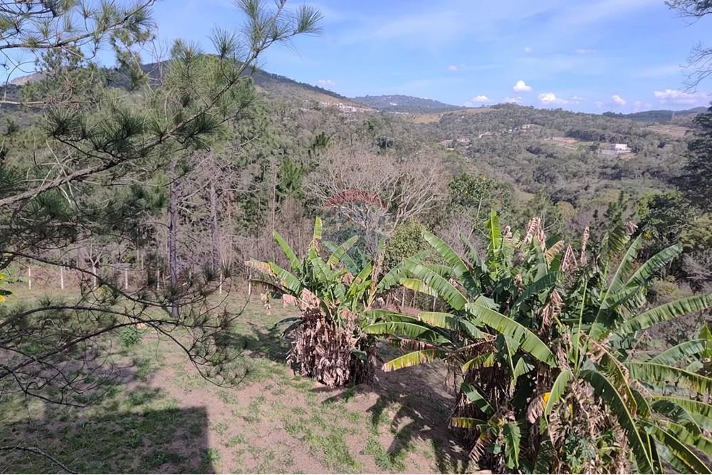 Chácara / Sítio / Fazenda - Alugar - Mairiporã , São Paulo - 6.jpg - 602291021-232