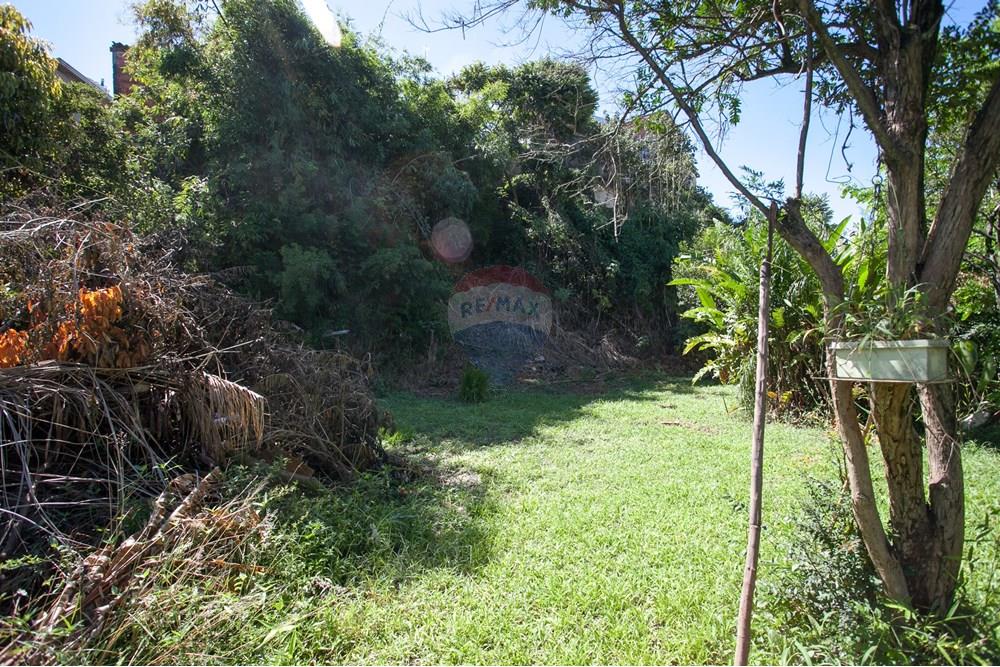 Terreno - Venda - São Paulo , São Paulo - IMG_6052.jpg - 601751009-328