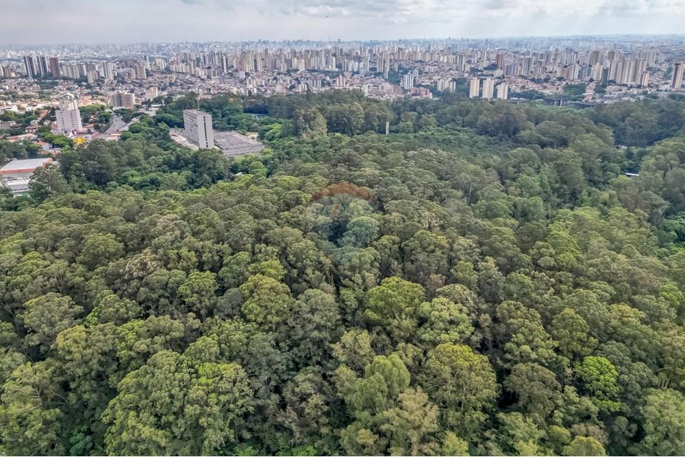 Apartamento - Venda - São Paulo , São Paulo - DJI_003704.jpg - 602291006-27