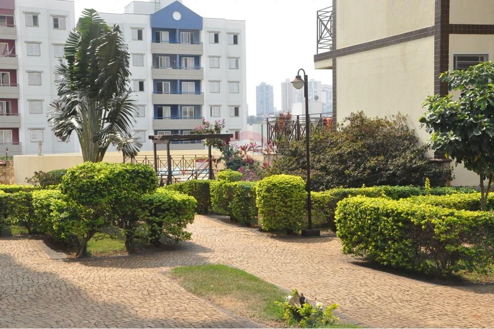 Apartamento - Venda - Campinas , São Paulo - DSC_6954.JPG - 602101011-112