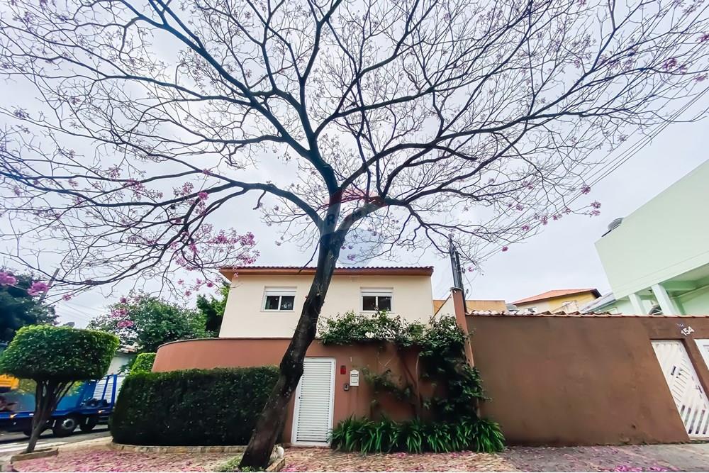 Sobrado - Venda - São Paulo , São Paulo - IMG_026154.jpg - 602261024-27