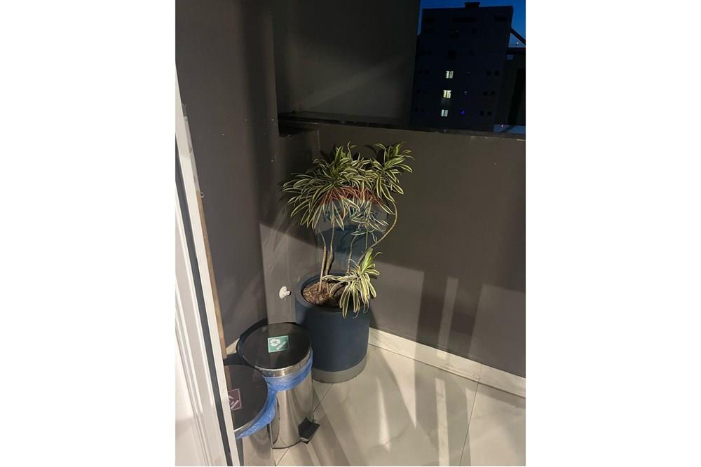 Apartamento - Alugar - São Paulo , São Paulo - 3d27b22c-a685-4be3-8f47-b409fa05093c.jpg - 601361019-3083