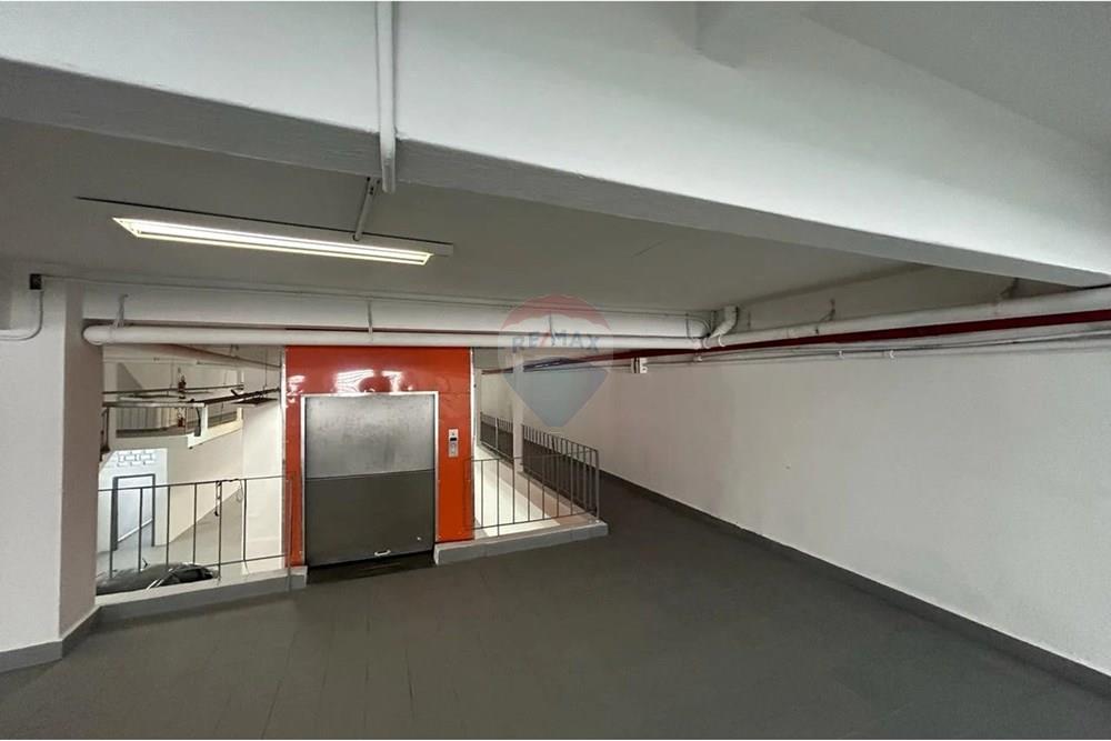 Galpão - Alugar - São Paulo , São Paulo - WhatsApp Image 2025-03-19 at 10.22.43.jpeg - 601971016-444