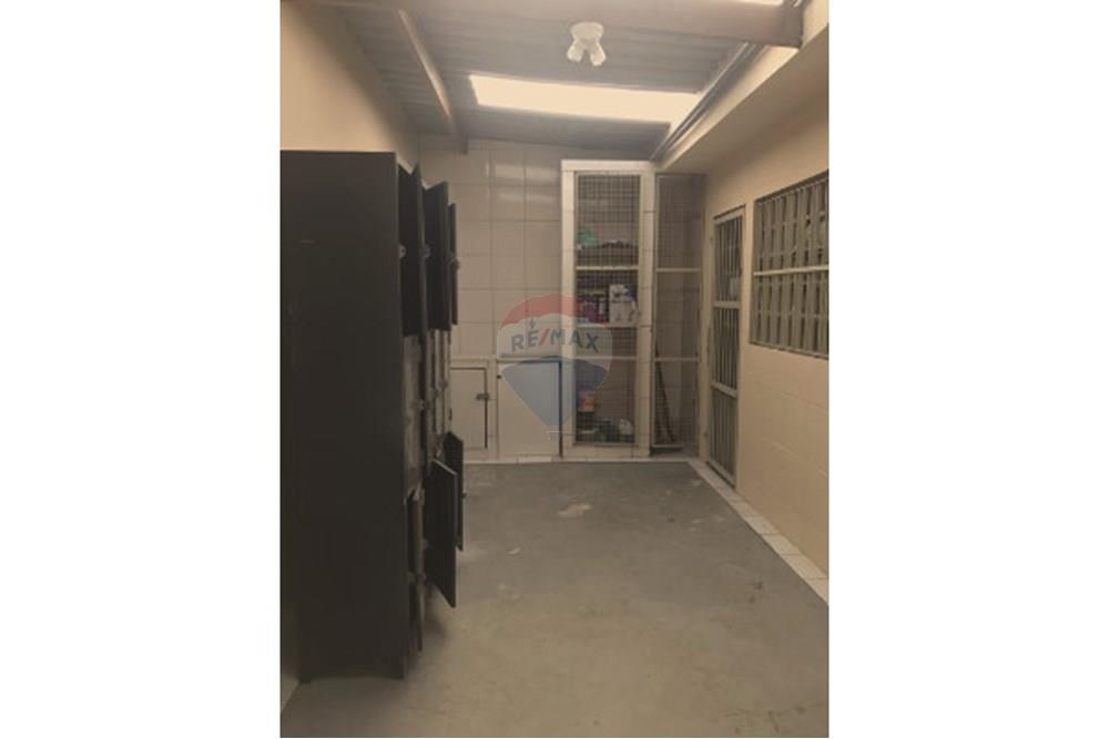 Casa Comercial - Alugar - São Paulo , São Paulo - 9747d8.jpg - 602361012-58