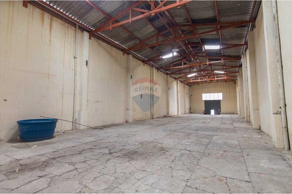 Galpão - Alugar - São Paulo , São Paulo - glpão09.jpg - 602141003-247