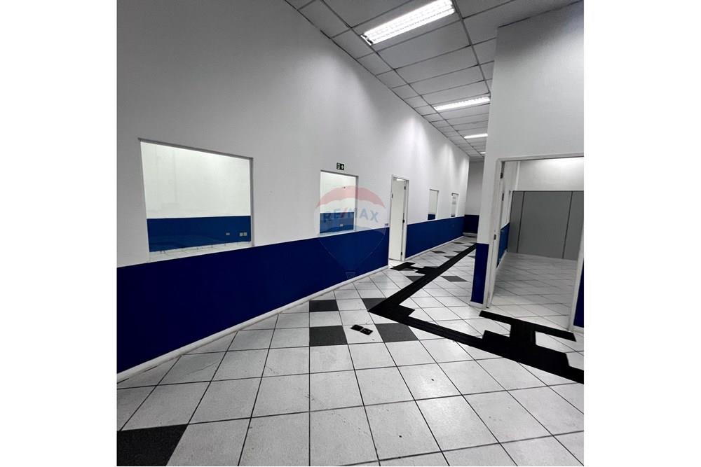 Prédio - Alugar - São Paulo , São Paulo - IMG_3298.jpg - 601261095-6