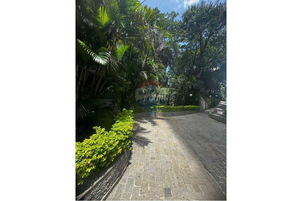 Apartamento - Venda - São Paulo , São Paulo - WhatsApp Image 2025-02-05 at 14.44.34 (2).jpeg - 602341026-3