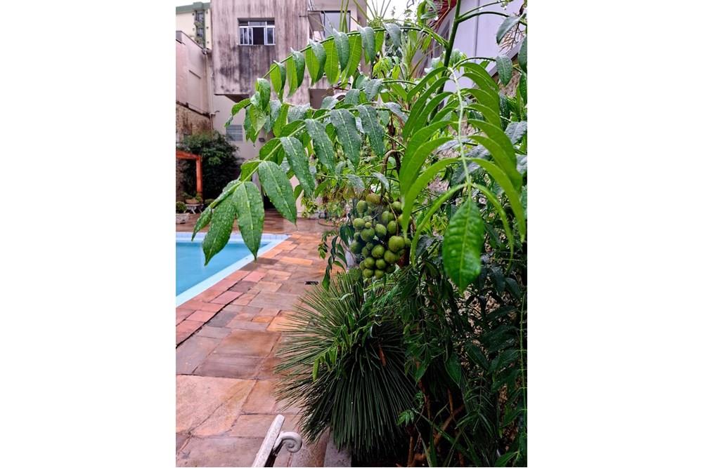 Sobrado - Alugar - São Paulo , São Paulo - 9.jpeg - 602291016-82