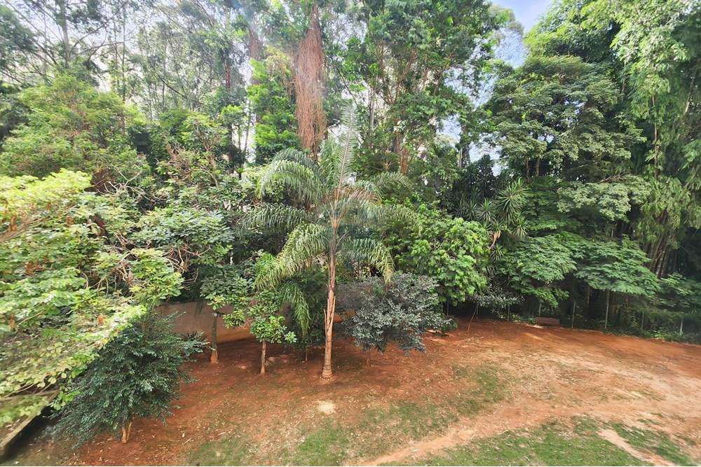 Apartamento - Venda - Taboão da Serra , São Paulo - 20250424_10162646.jpg - 601461011-74