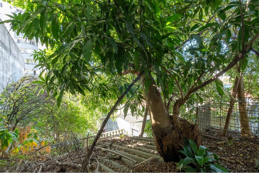 Terreno - Venda - São Paulo , São Paulo - 21_CS.jpg - 601471004-419