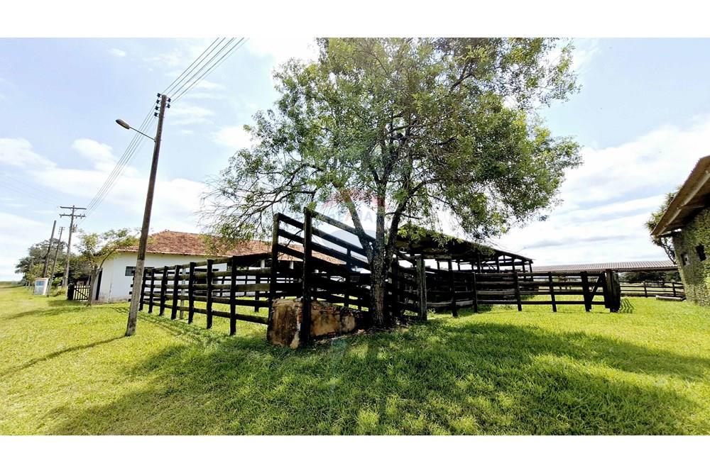Fazenda - Venda - Itapetininga , São Paulo - SITIO ITAPETININGA (96).jpg - 602301007-5