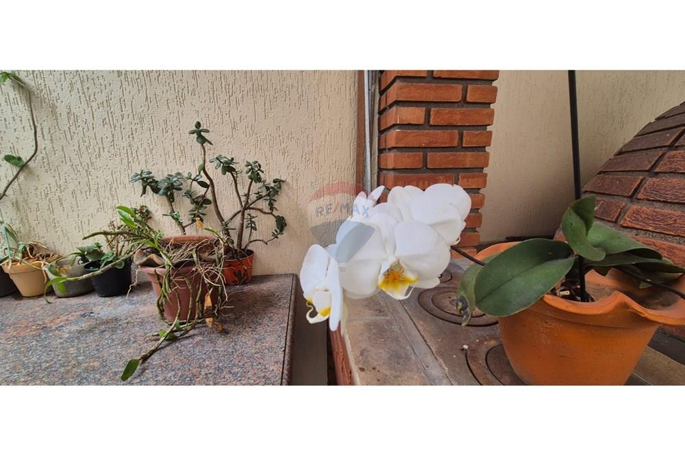 Casa - Venda - São Paulo , São Paulo - WhatsApp Image 2025-10-31 at 15.34.53 (4).jpeg - 601311009-218