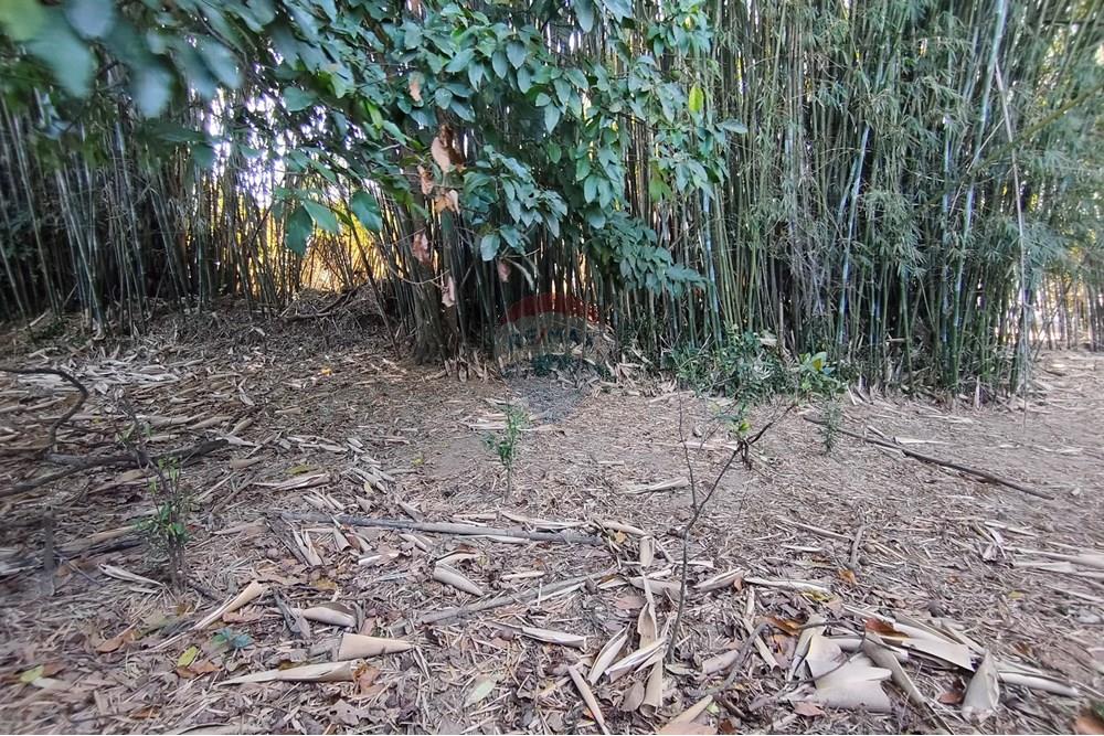 Wohnung - Grund - Ferraz de Vasconcelos , Sao Paulo - BR - IMG_20250918_150214.jpg - 601451005-109