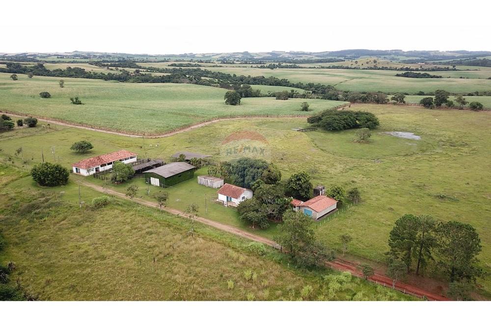 Fazenda - Venda - Itapetininga , São Paulo - SITIO ITAPETININGA (17).jpg - 602301007-5