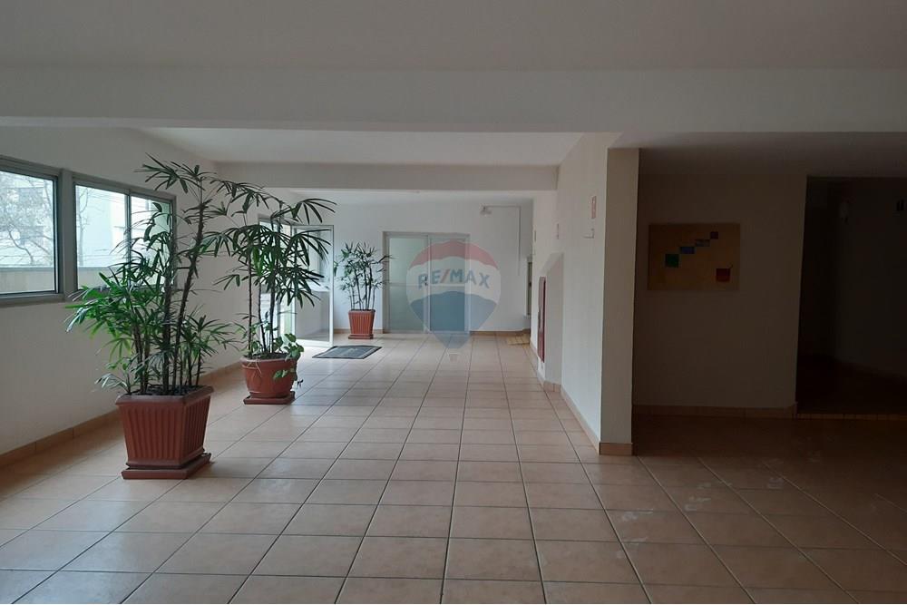 Kitnet - Alugar - São Paulo , São Paulo - 20250725_122919.jpg - 602171001-18