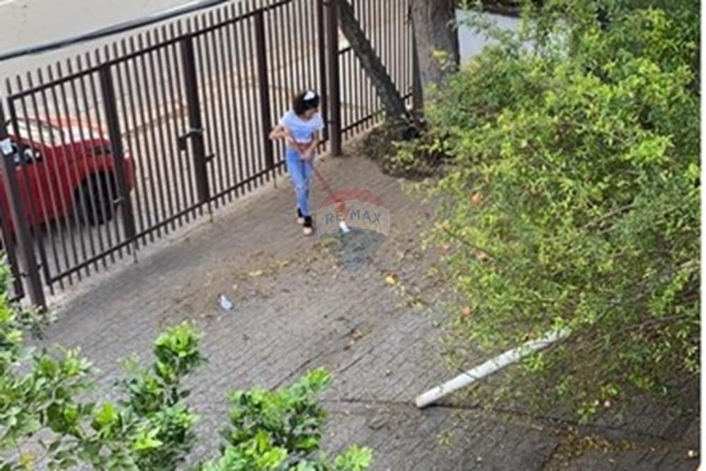 Casa Comercial - Alugar - São Paulo , São Paulo - WhatsApp Image 2025-02-06 at 12.53.11.jpeg - 602301011-39