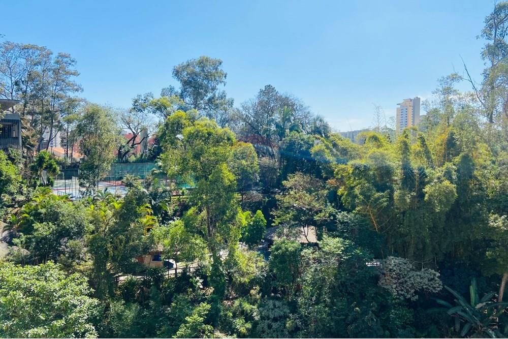 Apartamento - Alugar - São Paulo , São Paulo - IMG-20250904-WA0113.jpg - 602071012-28