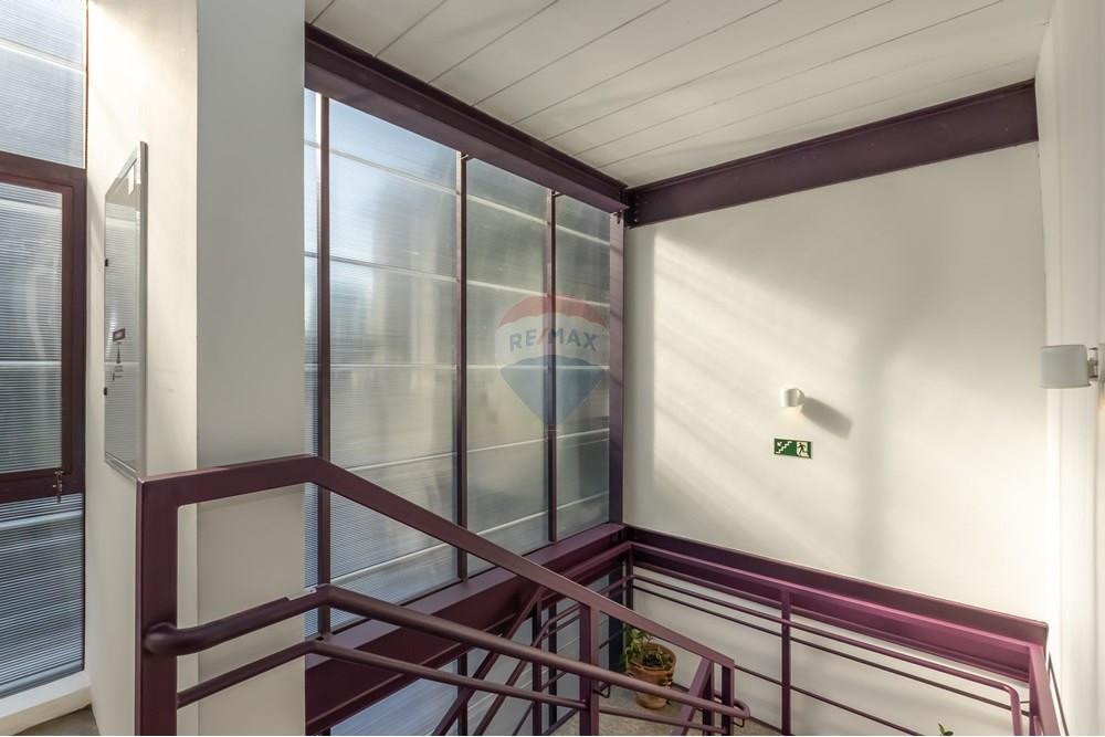 Prédio - Alugar - São Paulo , São Paulo - IMG_135229.jpg - 601481004-51