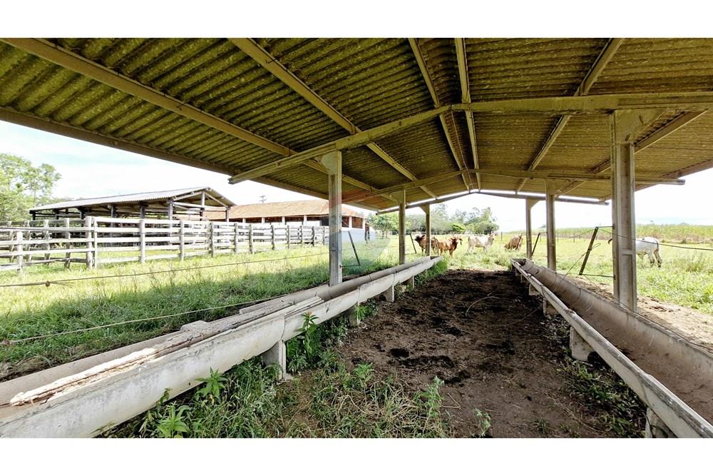 Fazenda - Venda - Itapetininga , São Paulo - SITIO ITAPETININGA (105).jpg - 602301007-5