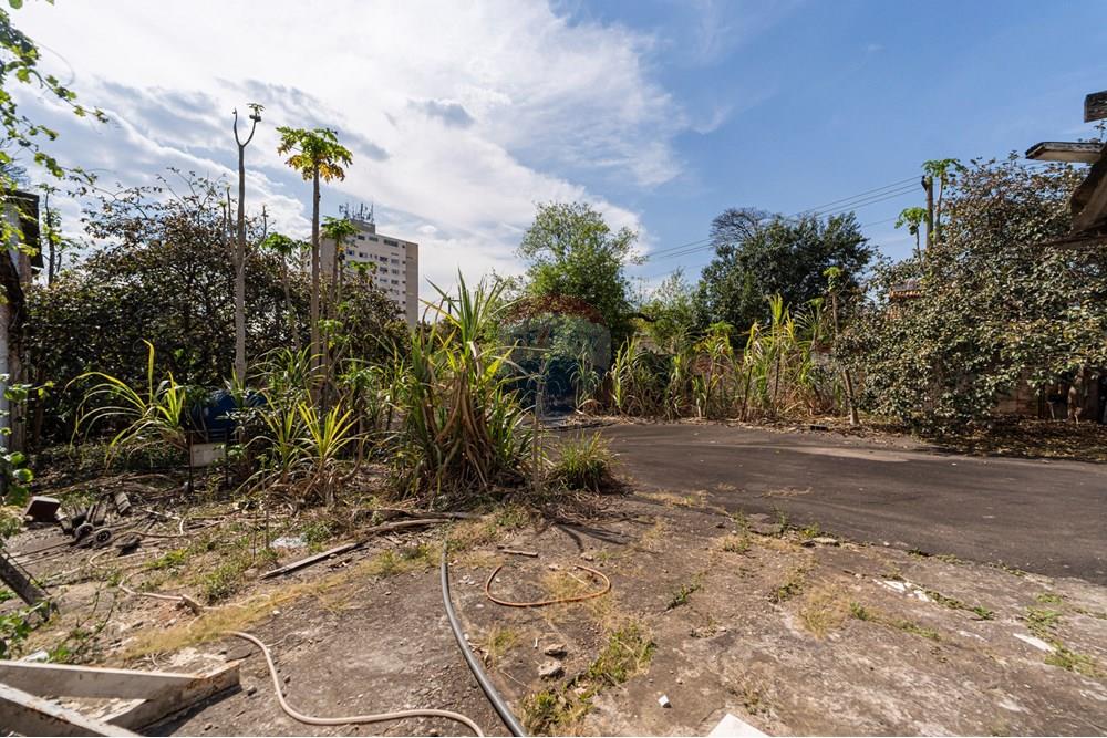 Terreno - Venda - São Paulo , São Paulo - 601301082-18-5.JPG - 601301082-20