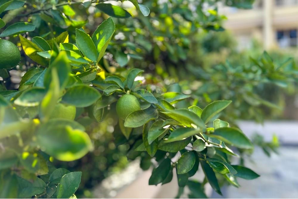 Apartamento - Alugar - São Paulo , São Paulo - TakeDroneBr-21658.jpg - 602151008-144