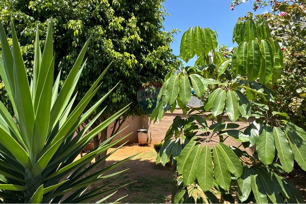 Apartamento - Venda - São Paulo , São Paulo - Foto 83 - DJI_20251025_113821_534 - 251025 - ID 60131075-9.jpg - 601301079-14