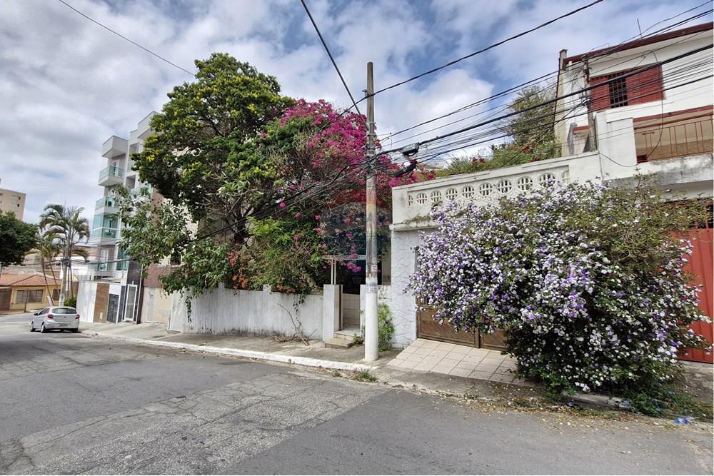 Terreno - Venda - São Paulo , São Paulo - Frente do terreno (2).jpg - 601051041-20