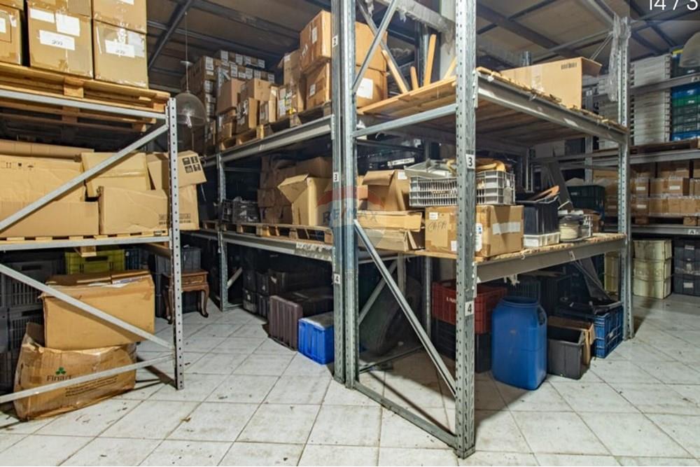 Galpão - Alugar - São Paulo , São Paulo - b05555.jpg - 602361016-18