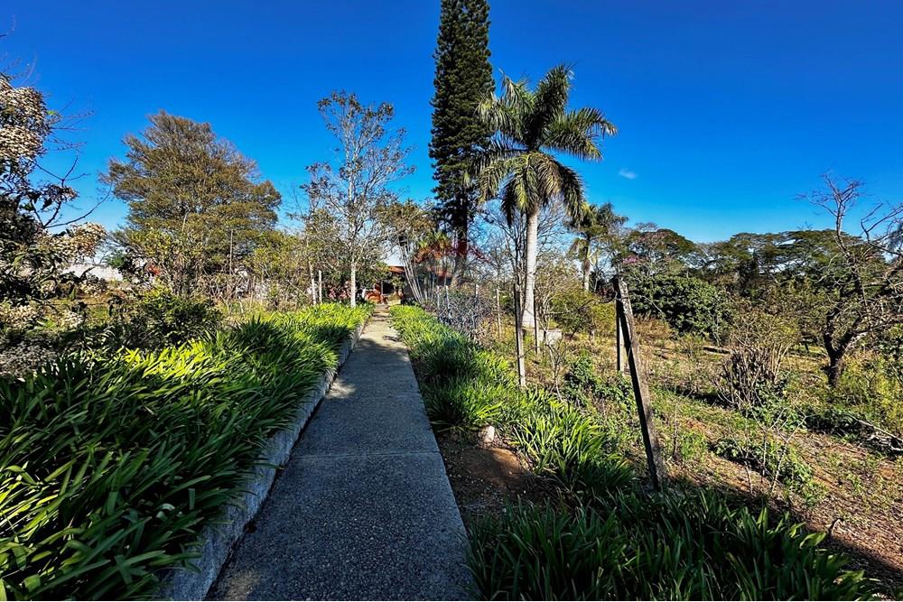 Terreno - Venda - Cotia , São Paulo - IMG_9077.jpg - 602331010-41