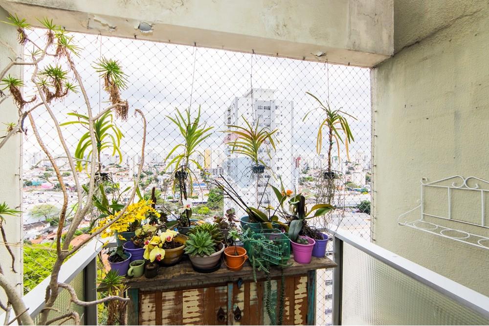 Cobertura - Venda - São Paulo , São Paulo - IMG_6584.jpg - 602031026-16