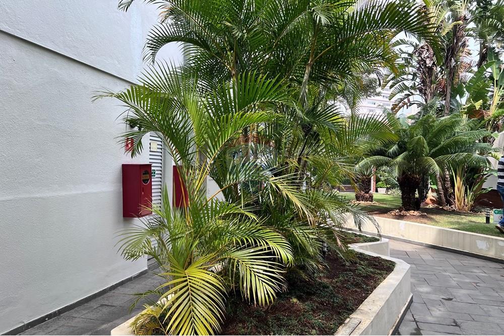 Apartamento - Alugar - São Paulo , São Paulo - IMG_7642.JPG - 601471030-33