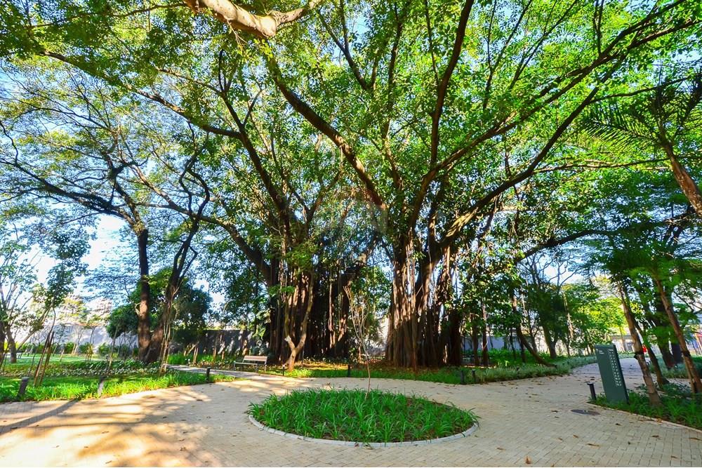 Apartamento - Venda - São Paulo , São Paulo - Remax-60.jpg - Layout aberto - 601131075-4