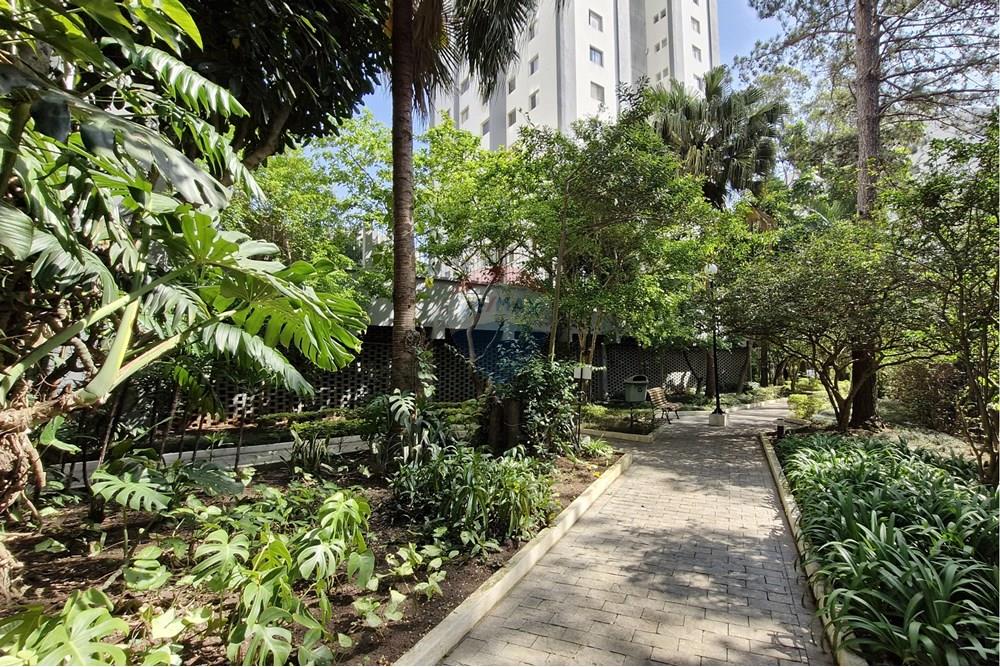 Apartamento - Venda - São Paulo , São Paulo - Cópia de RUA PROF. ALCEU MAYNARD ARAUJO, 43 (6).jpg - 601131004-155