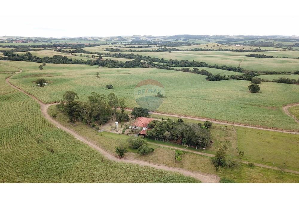 Fazenda - Venda - Itapetininga , São Paulo - SITIO ITAPETININGA (9).jpg - 602301007-5