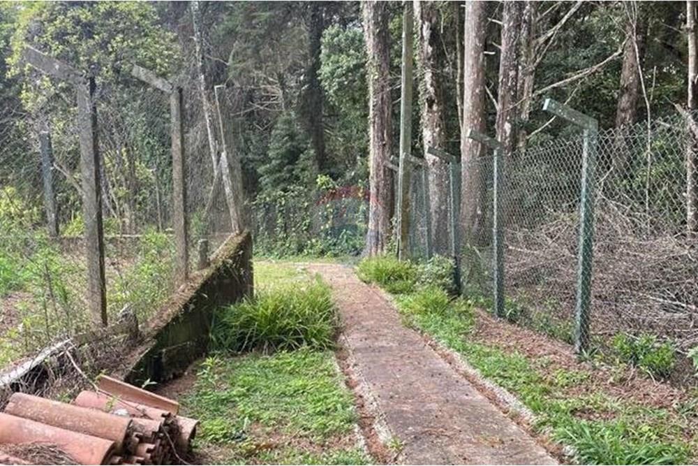 Chácara, 6 quartos, 7 hectares - Foto 48