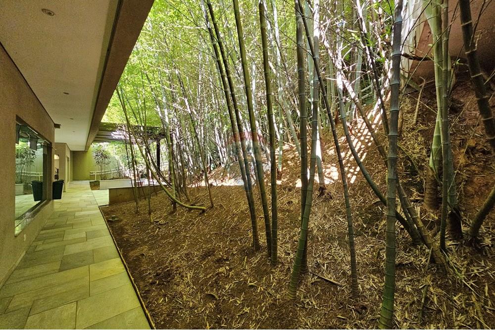 Apartamento - Venda - São Paulo , São Paulo - 20250113_152724.jpg - 601971076-23